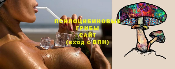тгк Майский