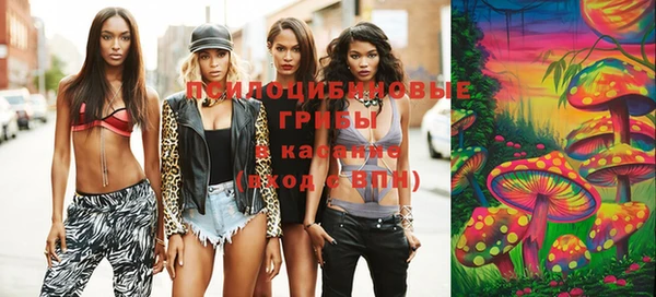 тгк Майский