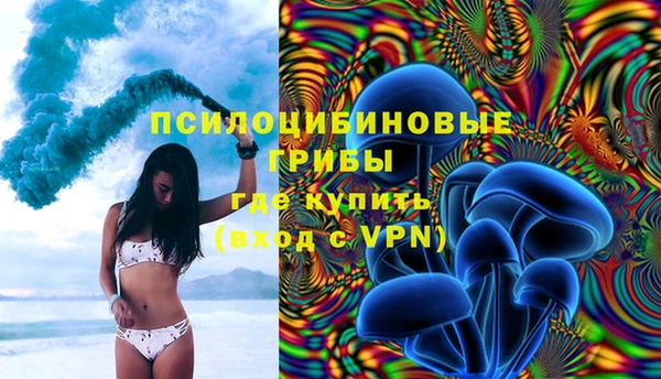 тгк Майский