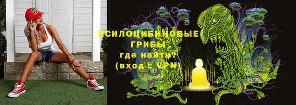 тгк Майский