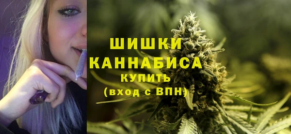 тгк Майский