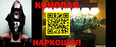 каннабис Берёзовский