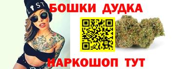 крисы Бийск
